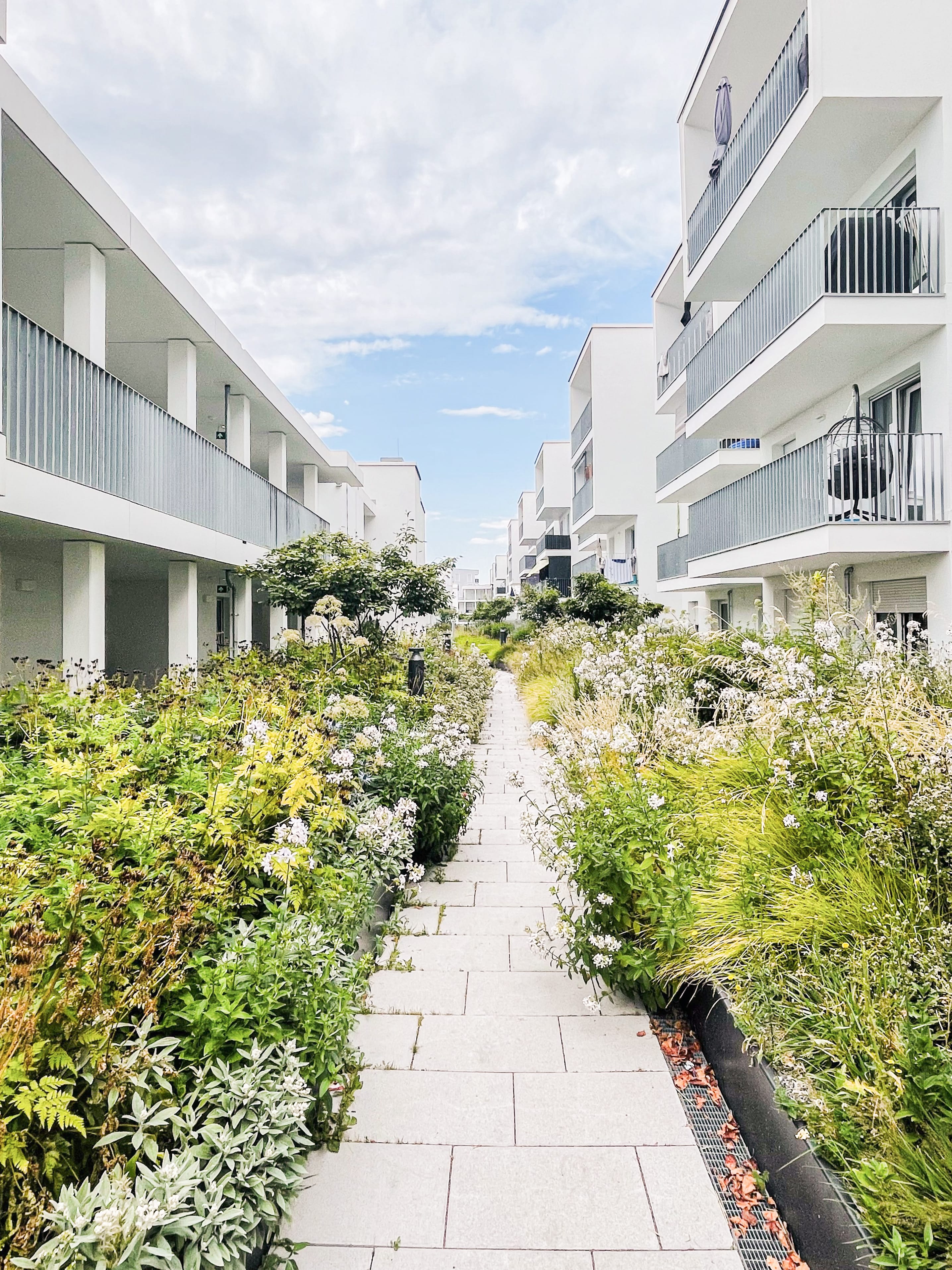 WBG Ulmer Strasse 11