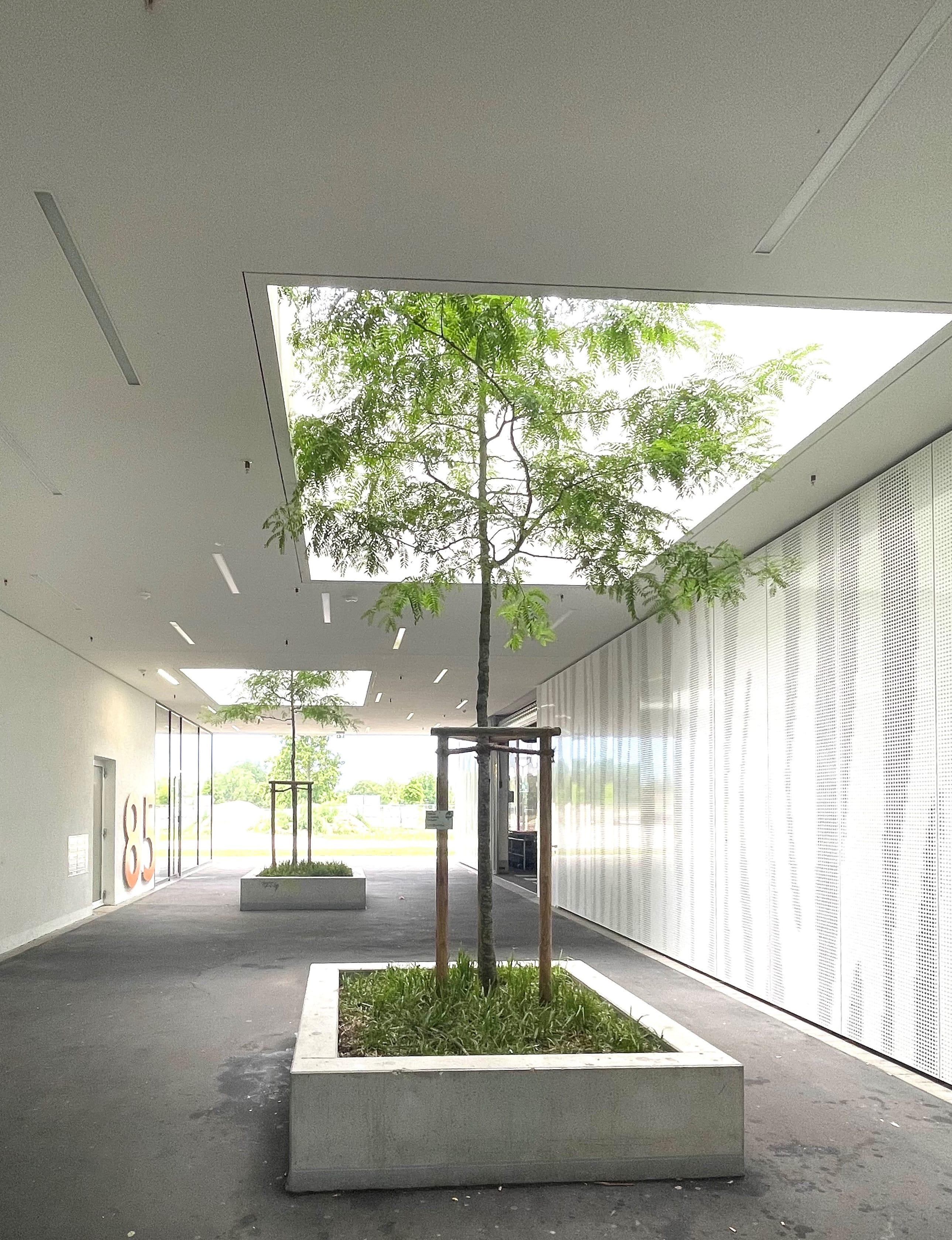 WBG Ulmer Strasse 3