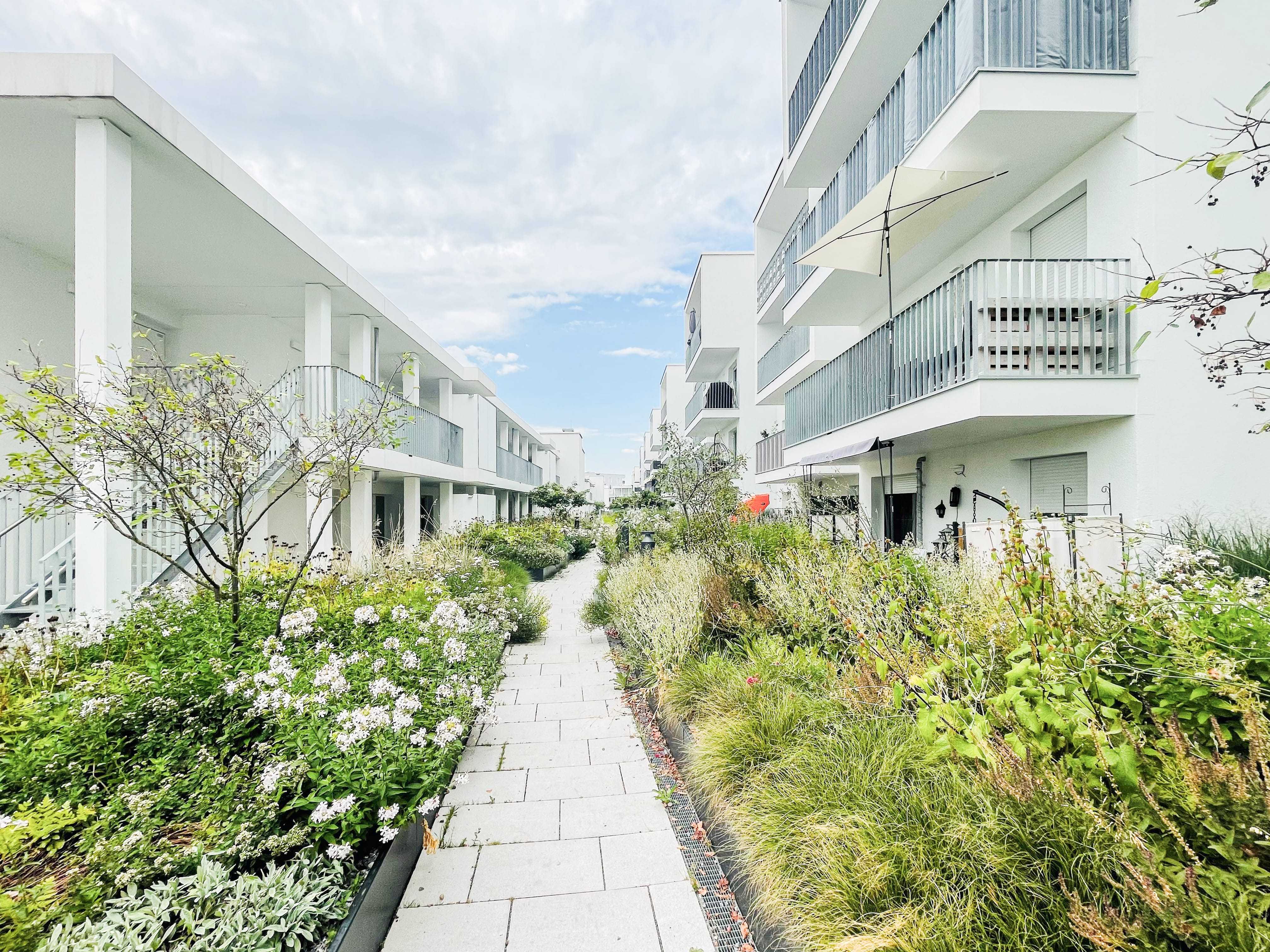 WBG Ulmer Strasse 4